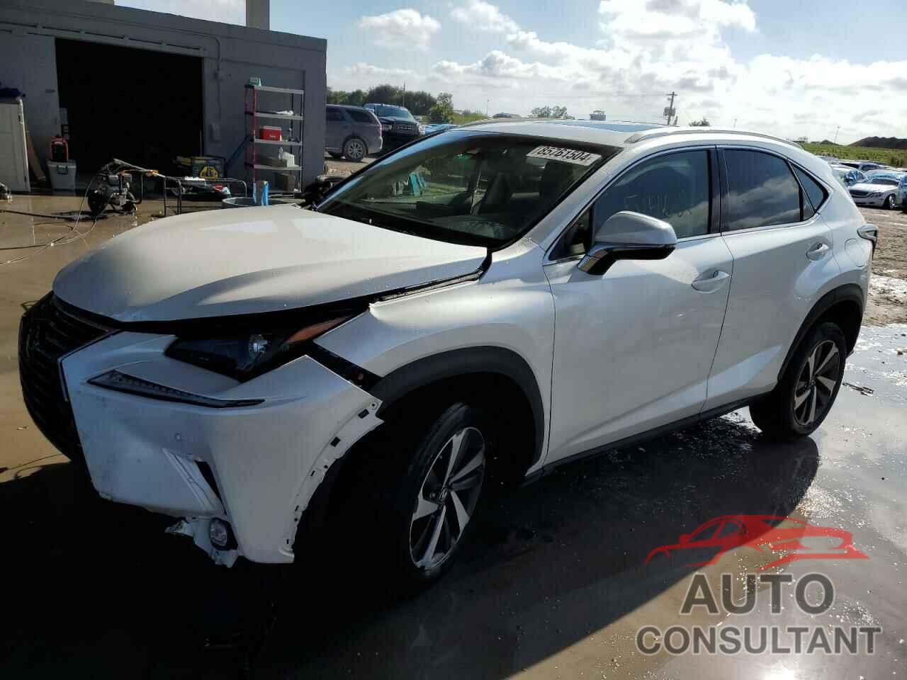 LEXUS NX 2019 - JTJYARBZ6K2133026