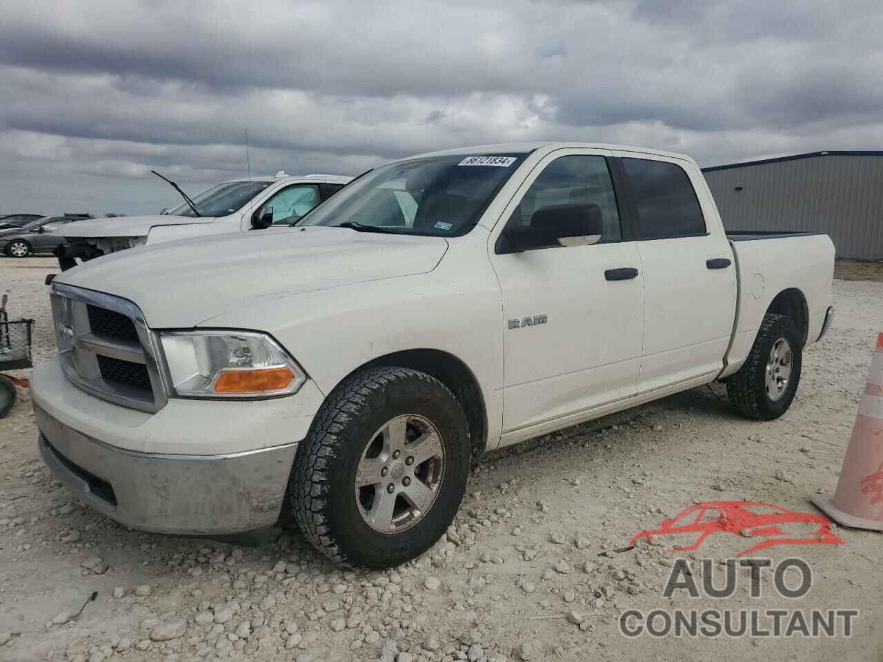 DODGE All Models 2009 - 1D3HB13P59S725601