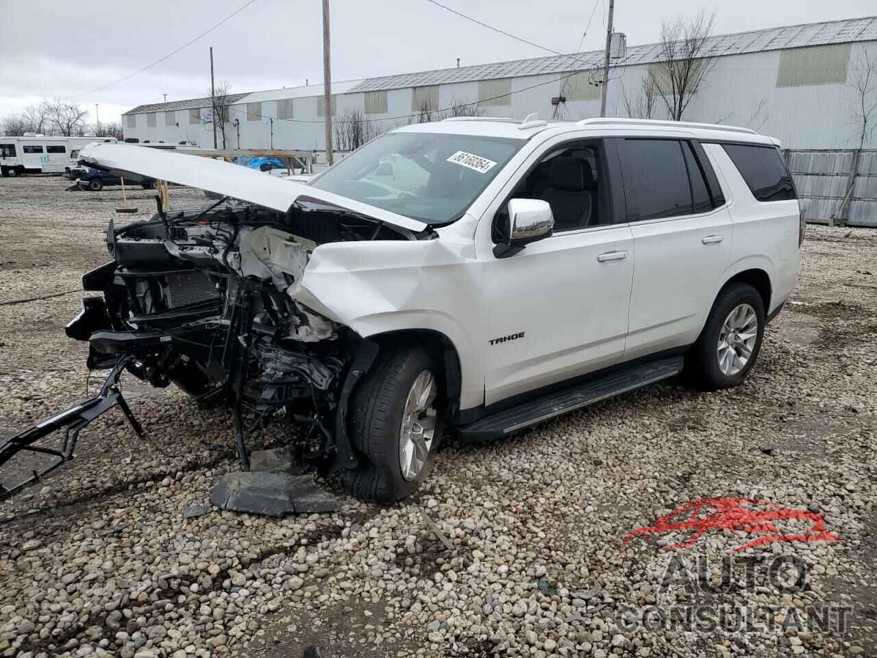 CHEVROLET TAHOE 2024 - 1GNSKSKDXRR119334