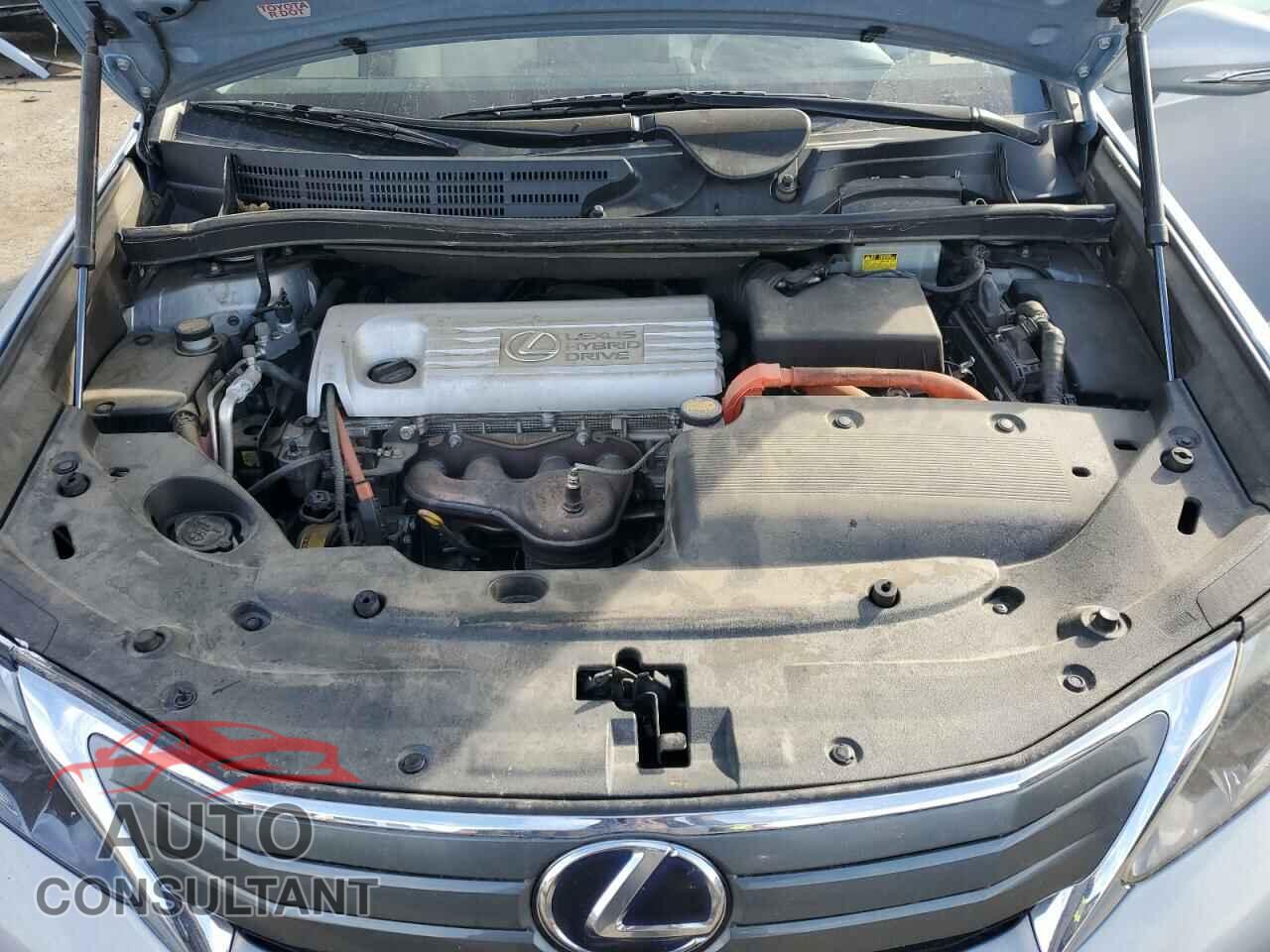 LEXUS ALL OTHER 2010 - JTHBB1BA1A2001273