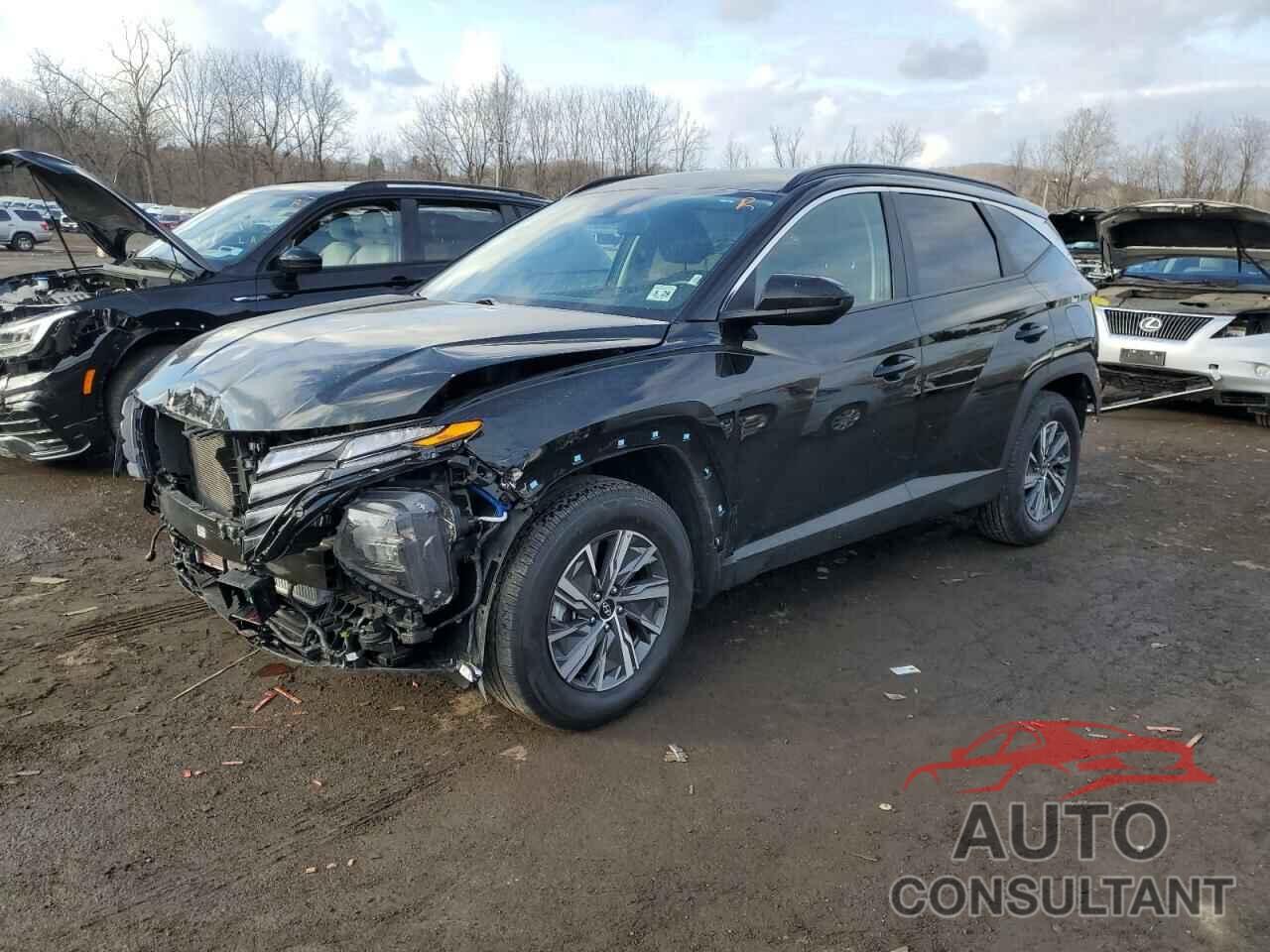 HYUNDAI TUCSON 2024 - KM8JBCD12RU208563