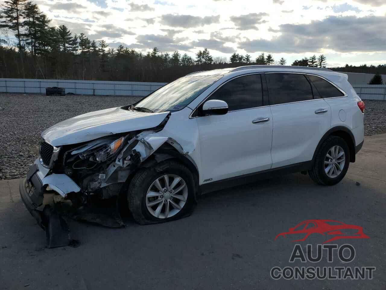 KIA SORENTO 2017 - 5XYPGDA30HG247390