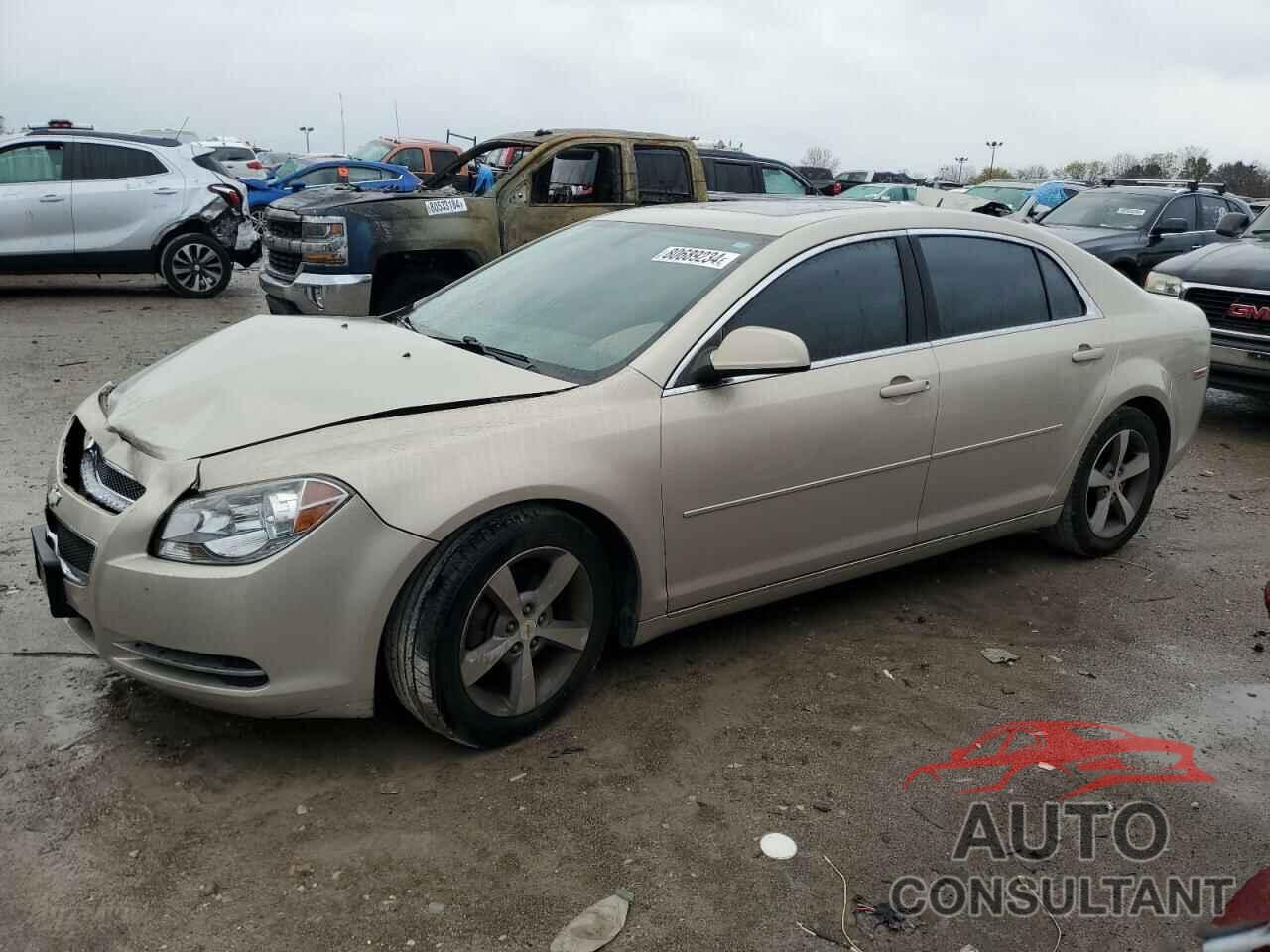 CHEVROLET MALIBU 2011 - 1G1ZC5E19BF116478