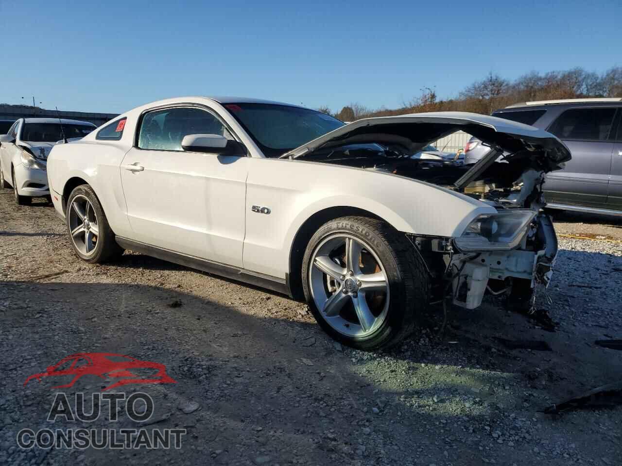 FORD MUSTANG 2011 - 1ZVBP8CF9B5140750