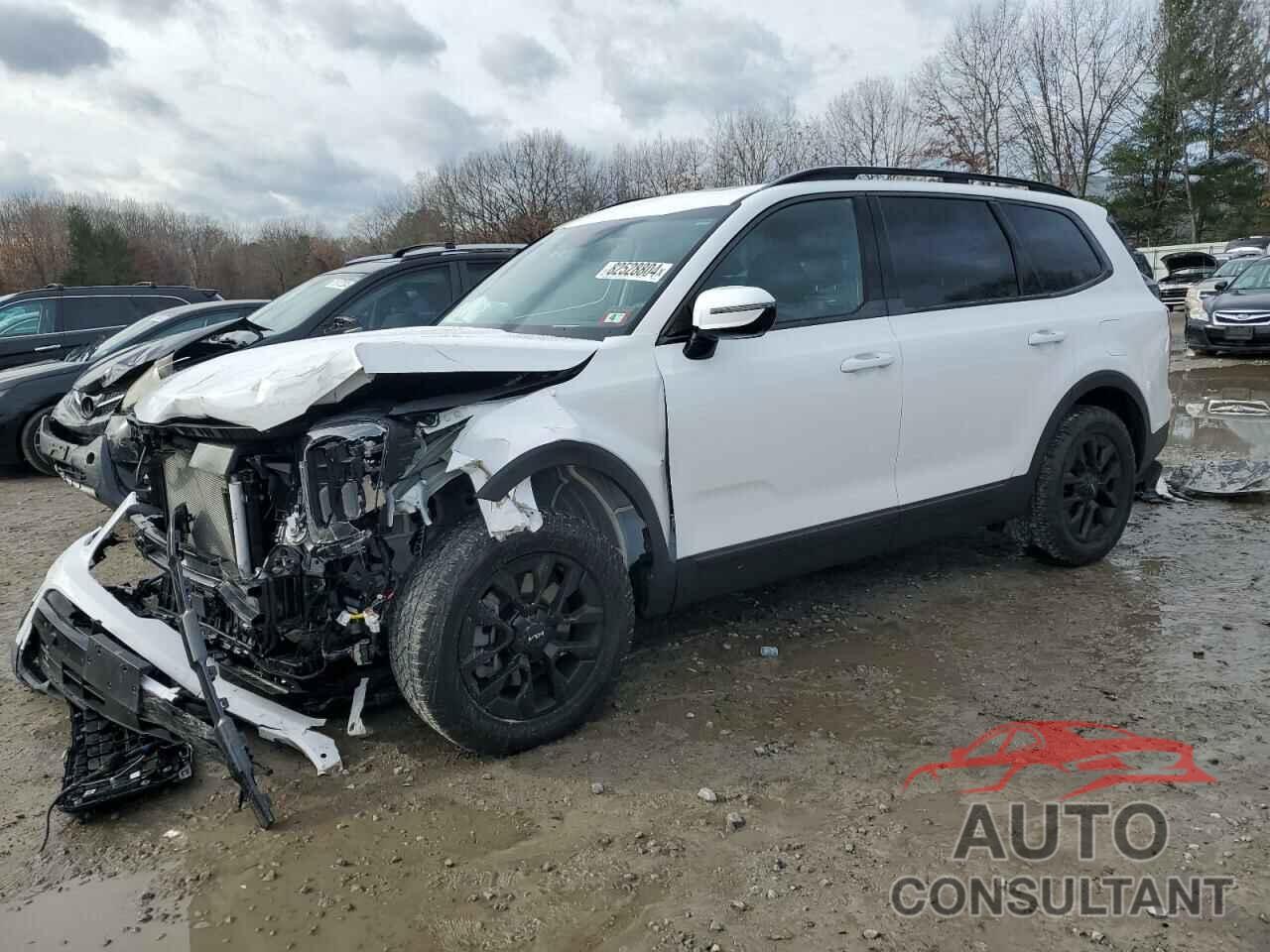 KIA TELLURIDE 2024 - 5XYP5DGC0RG508189