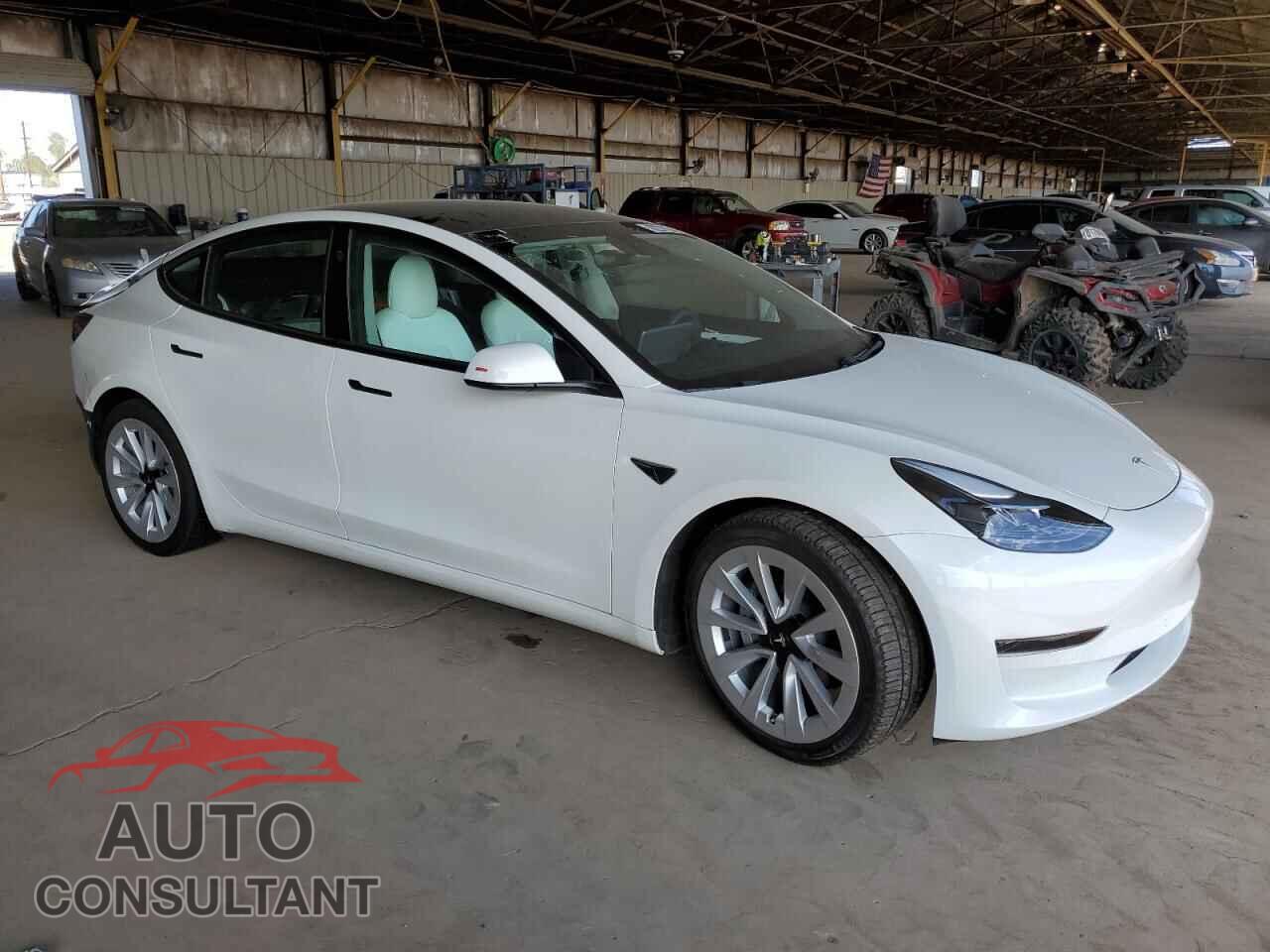 TESLA MODEL 3 2021 - 5YJ3E1EA6MF019083