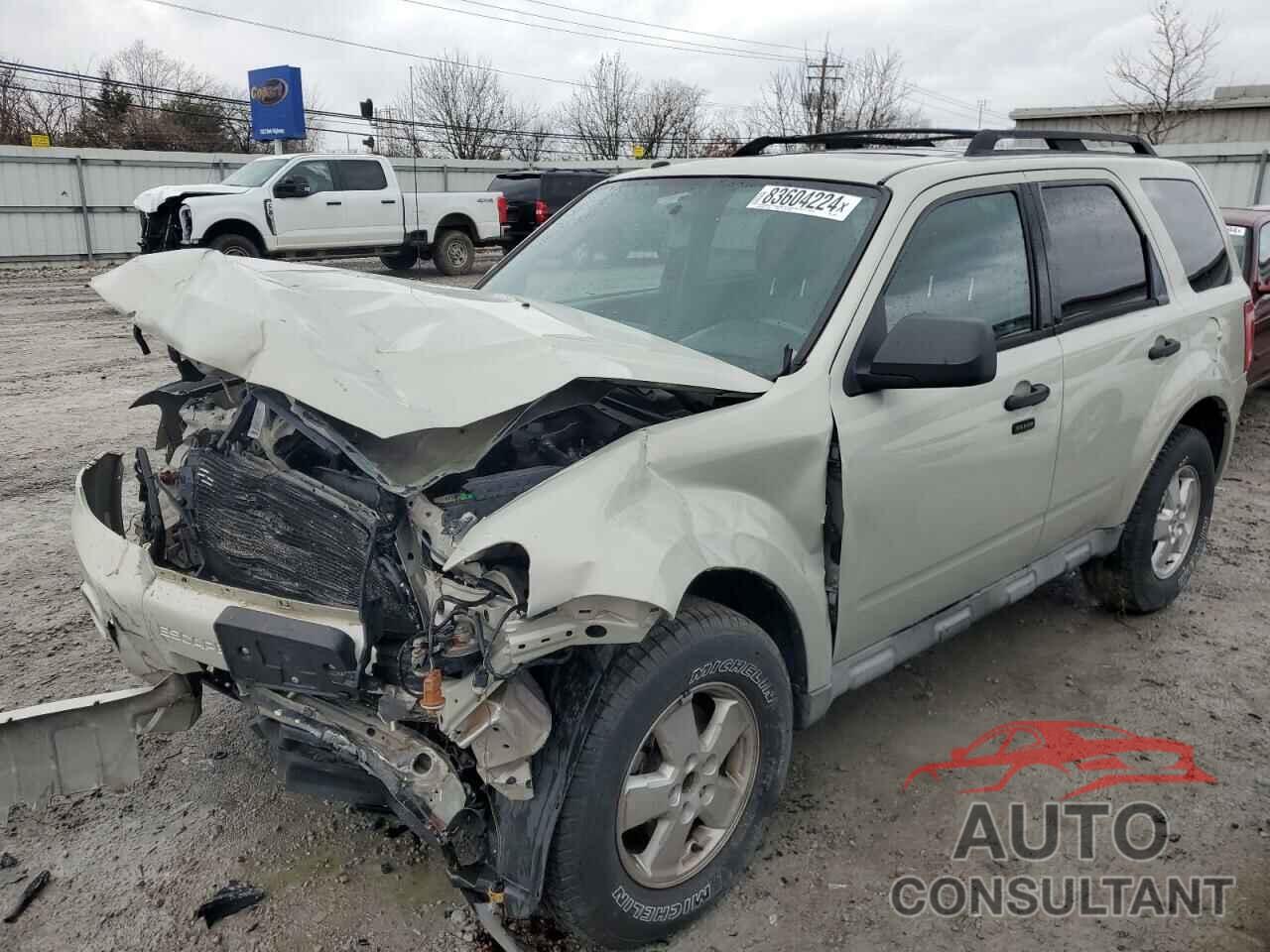 FORD ESCAPE 2009 - 1FMCU93GX9KC33881
