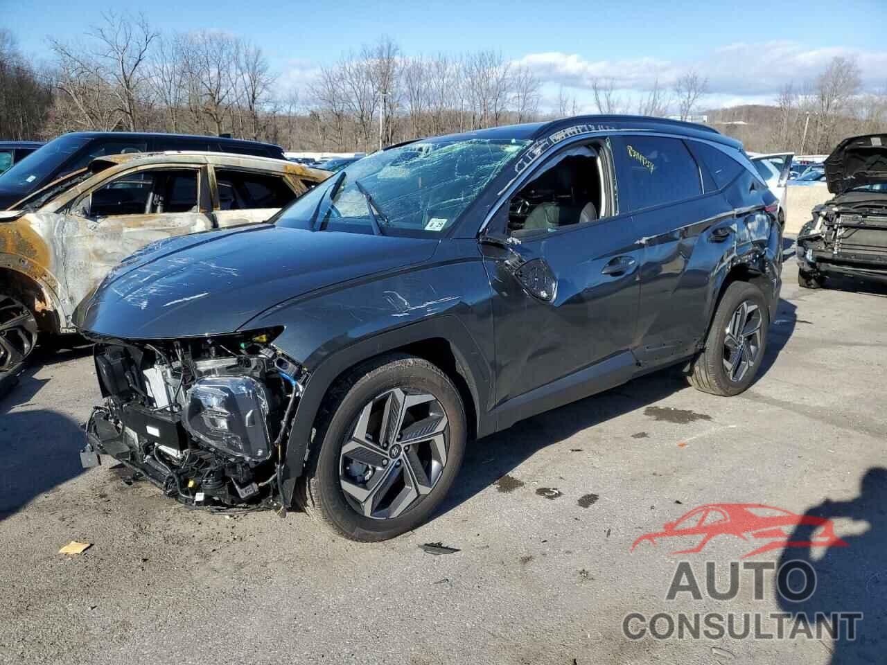 HYUNDAI TUCSON 2024 - KM8JCCD15RU239058