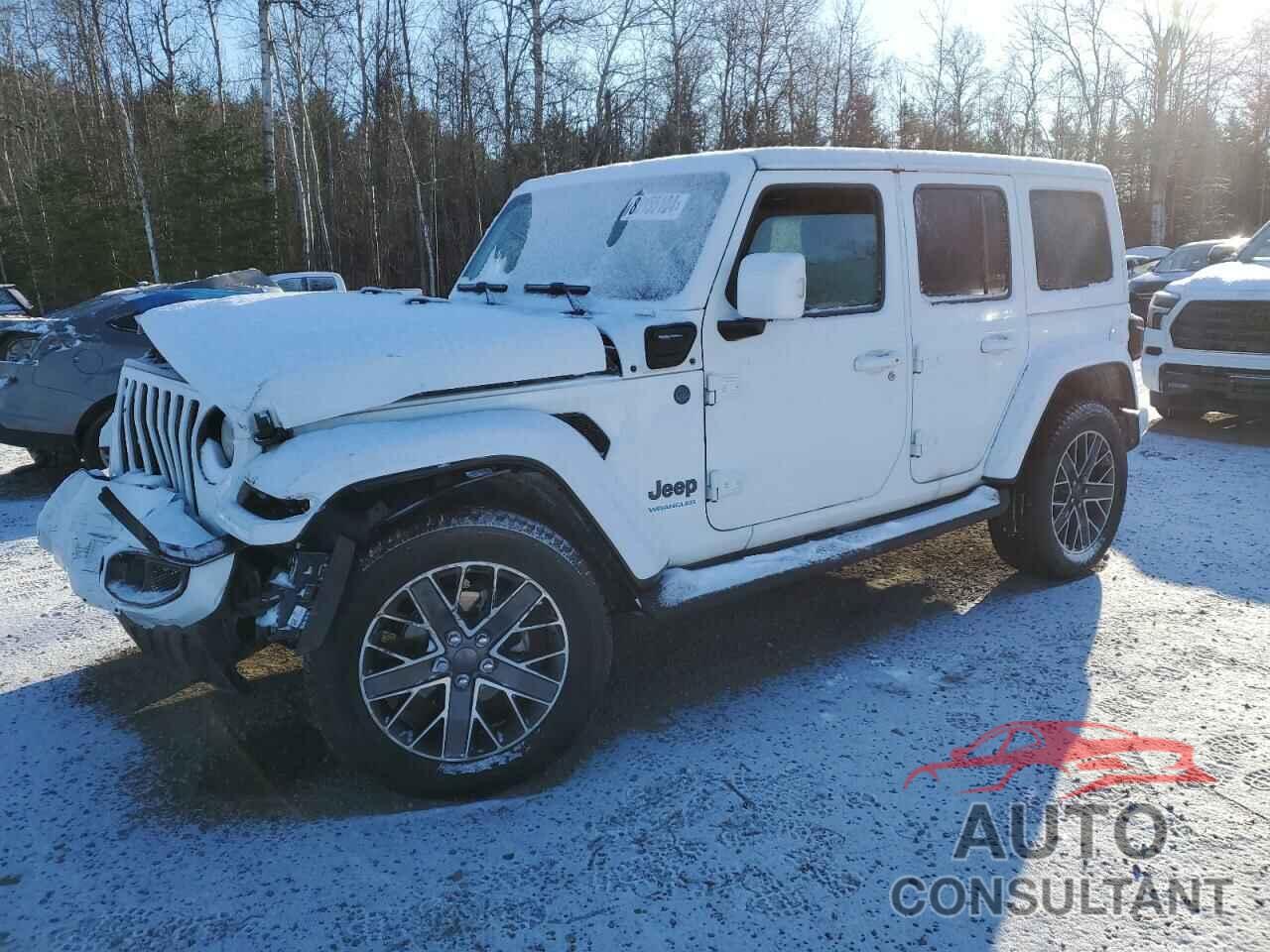 JEEP WRANGLER 2023 - 1C4JJXP61PW631318