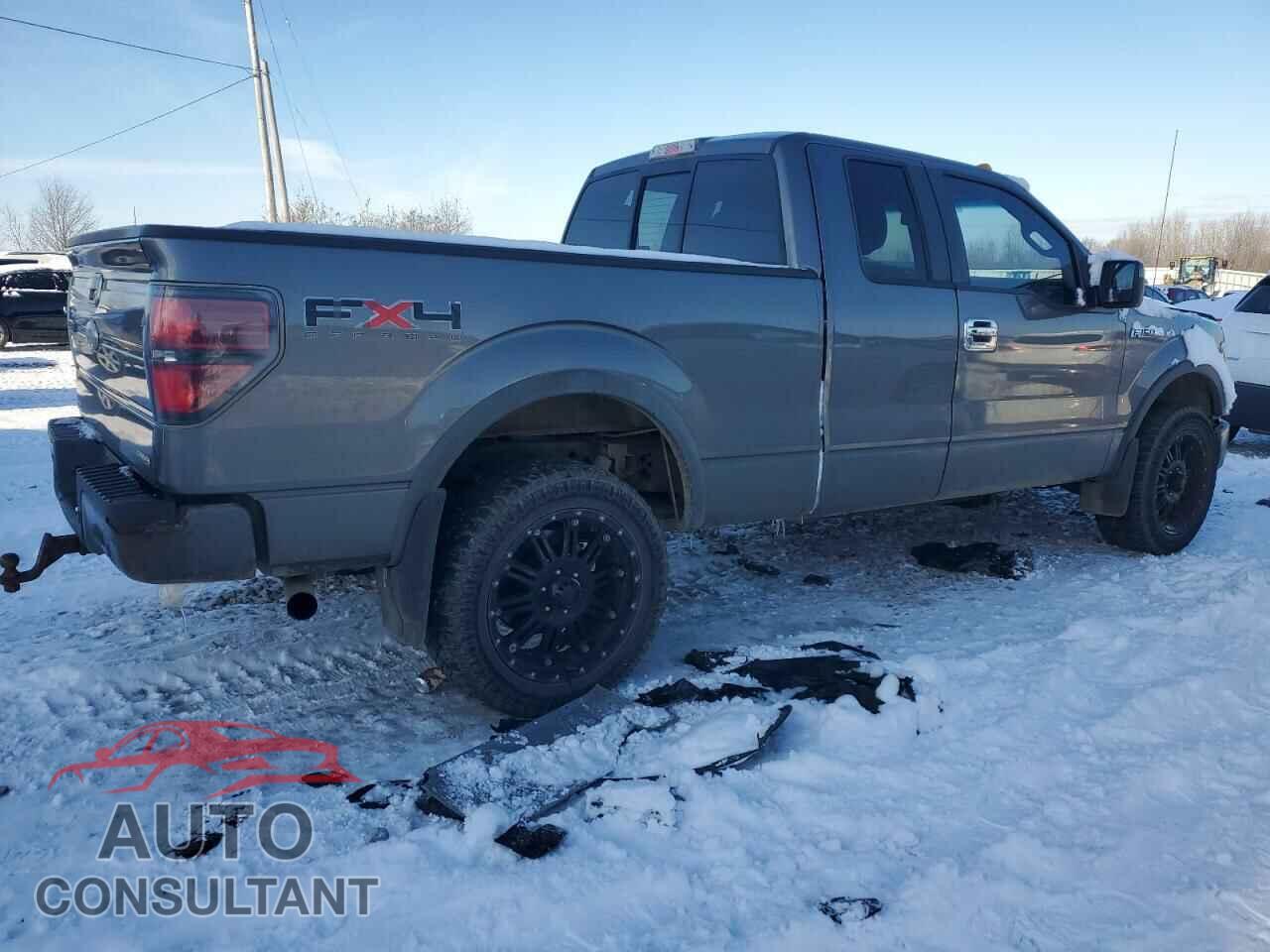 FORD F-150 2011 - 1FTFX1EF8BFA84495