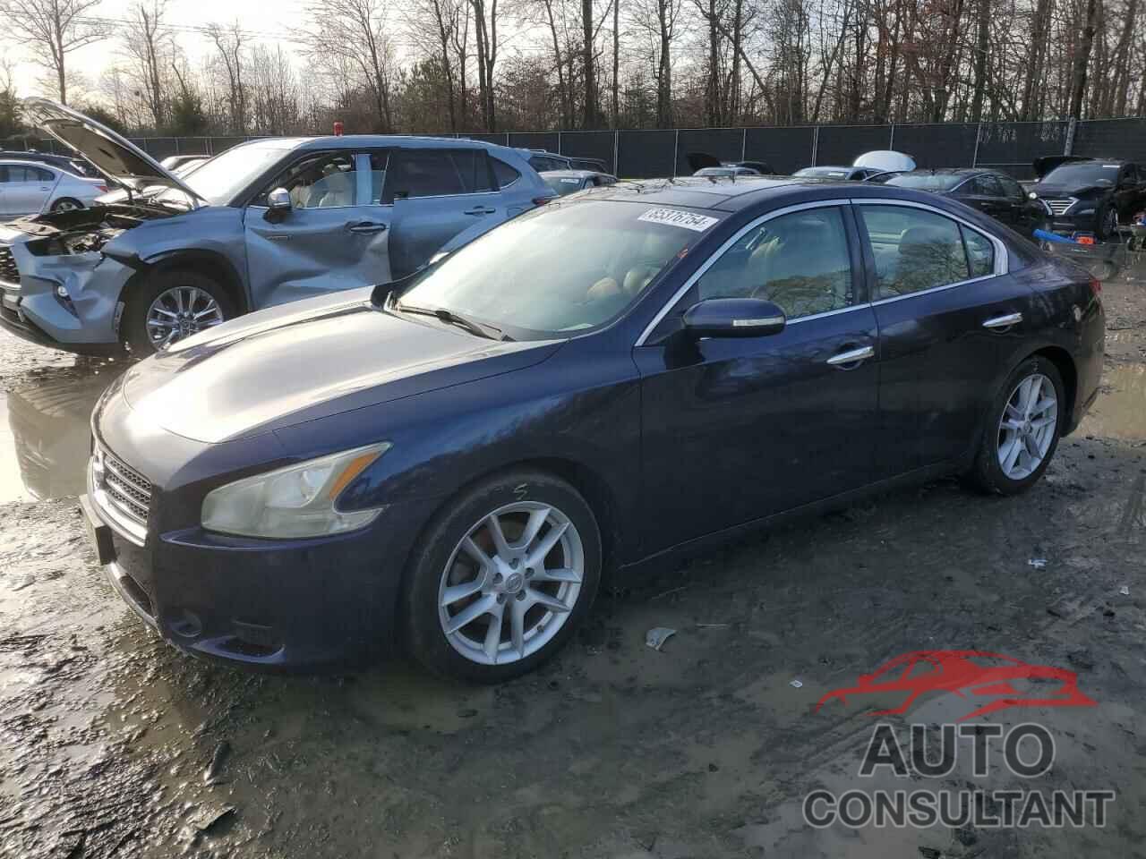 NISSAN MAXIMA 2009 - 1N4AA51E99C847531