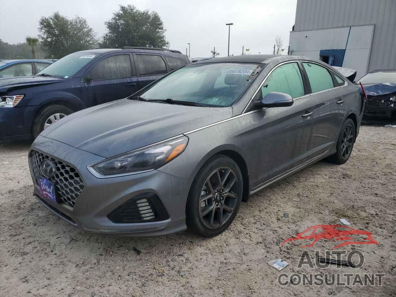 HYUNDAI SONATA 2019 - 5NPE34AB4KH811830