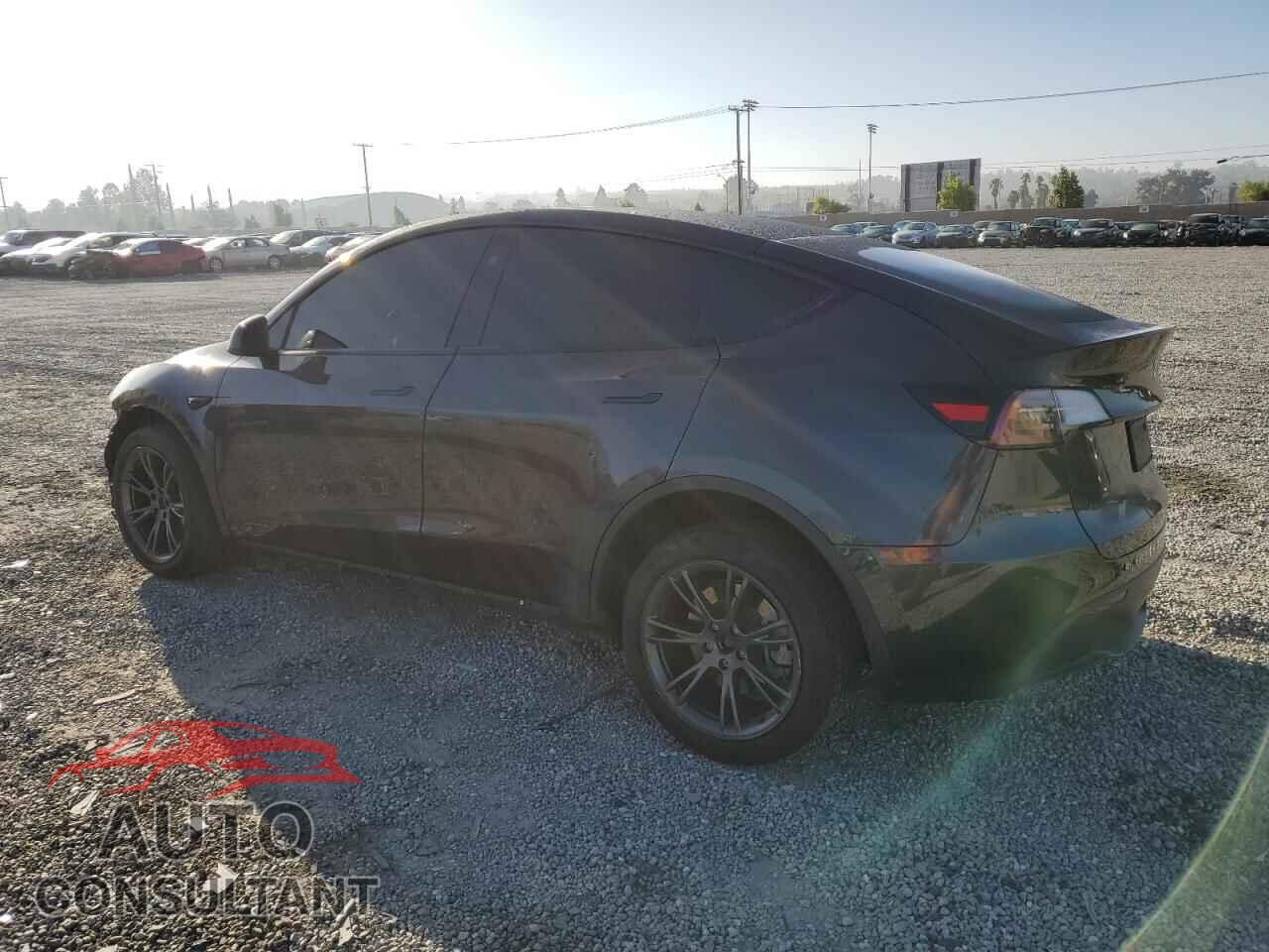 TESLA MODEL Y 2024 - 7SAYGDED7RF109428
