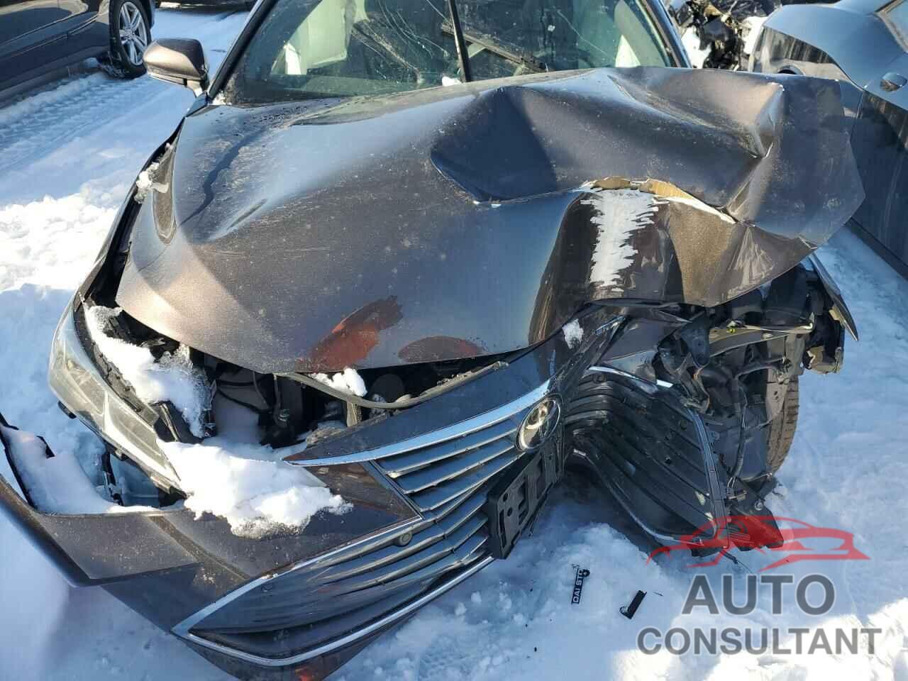 TOYOTA AVALON 2019 - 4T1BZ1FB6KU005563