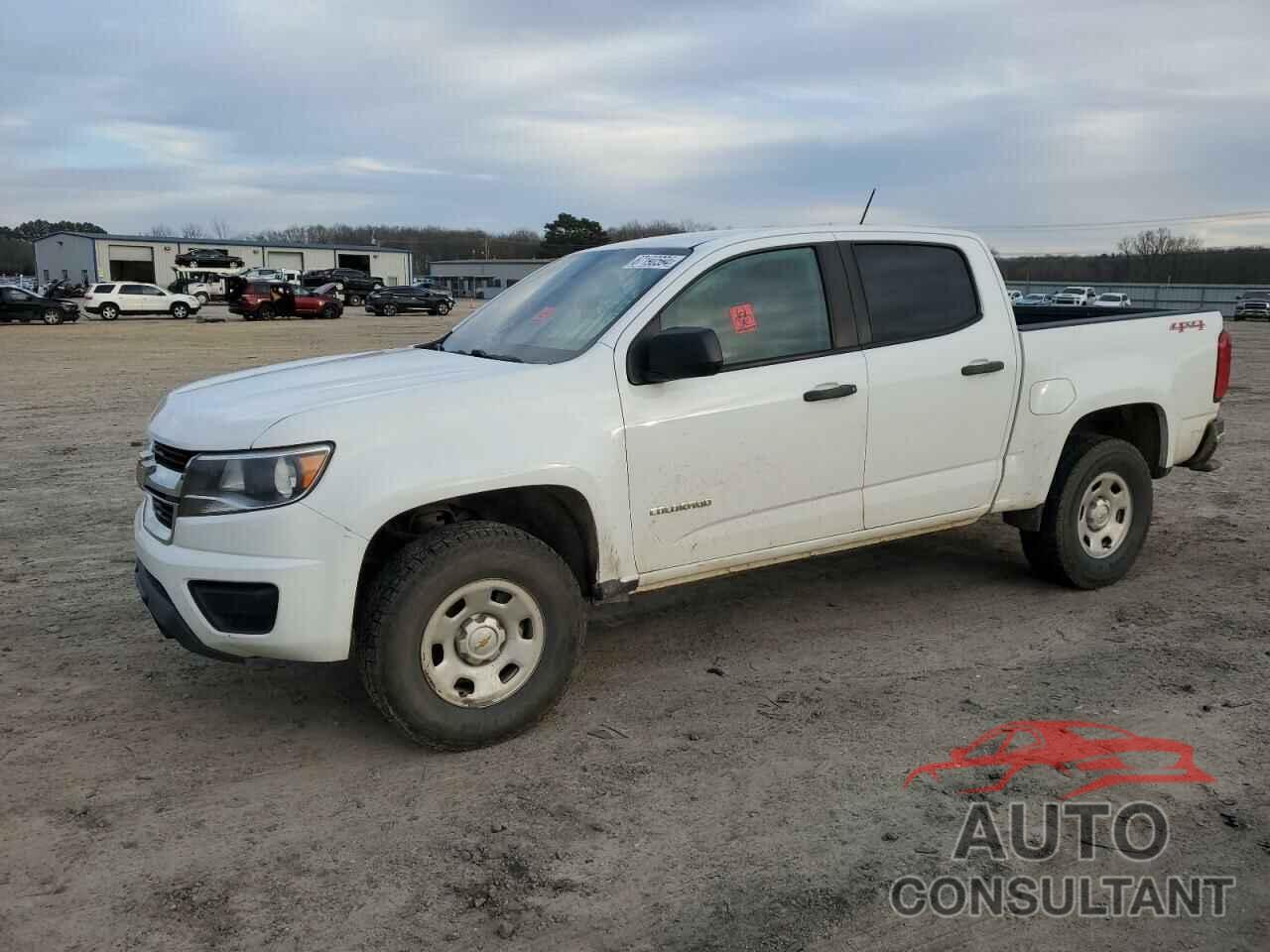 CHEVROLET COLORADO 2019 - 1GCGTBEN1K1171276
