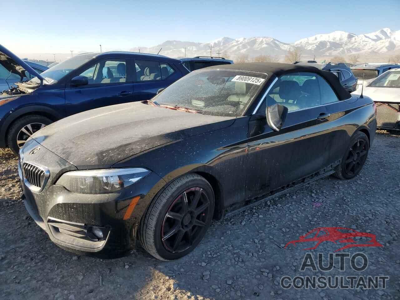 BMW 2 SERIES 2018 - WBA2K1C53JVD41509