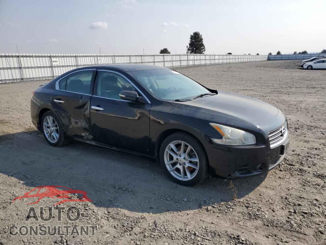 NISSAN MAXIMA 2011 - 1N4AA5AP9BC839341