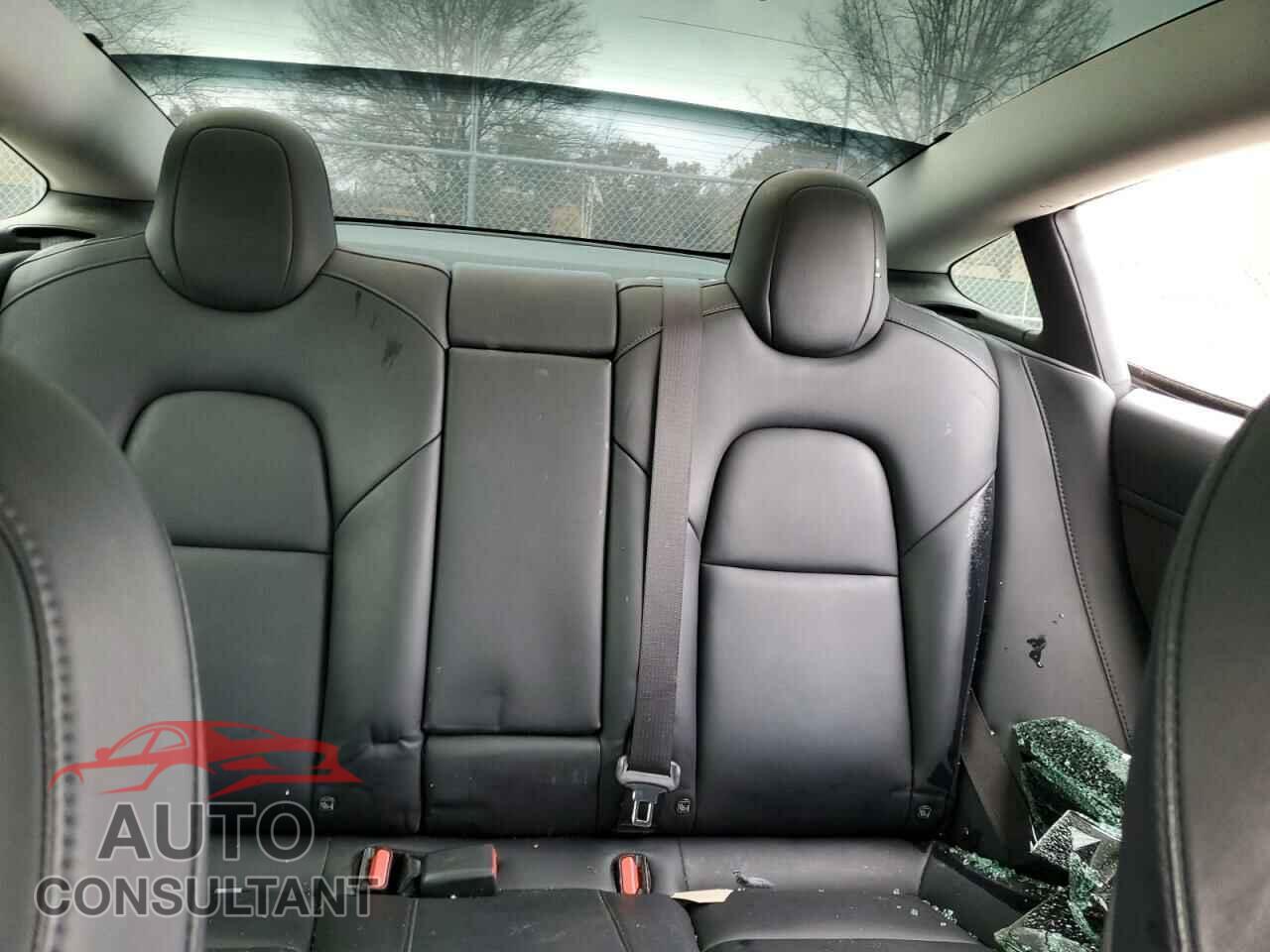 TESLA MODEL 3 2019 - 5YJ3E1EA8KF317261