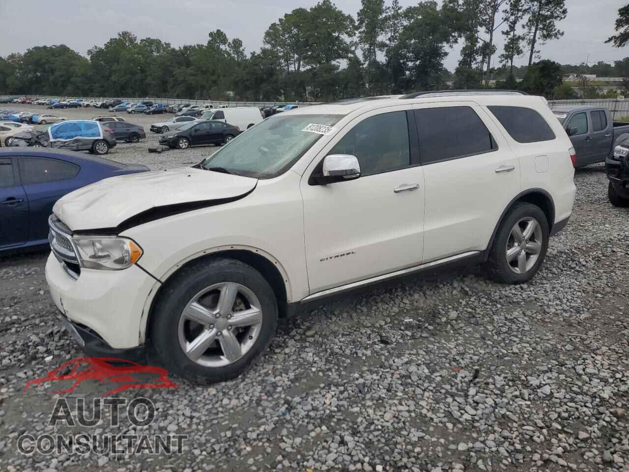 DODGE DURANGO 2011 - 1D4RD5GG0BC638295