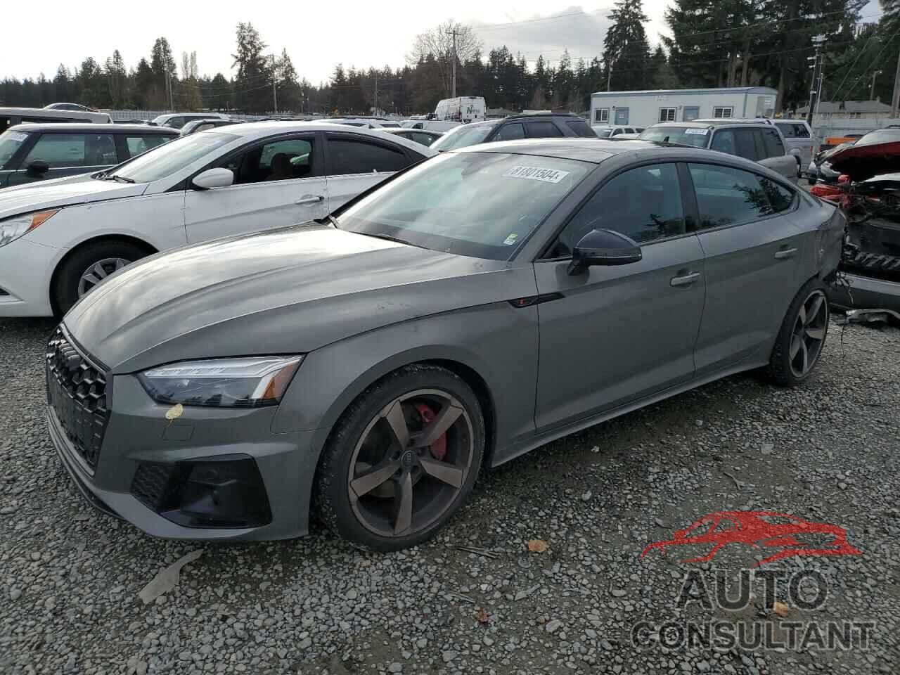 AUDI A5 2023 - WAUEACF51PA006947