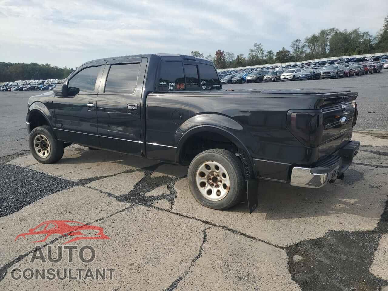 FORD F-150 2013 - 1FTFW1E61DFD39252