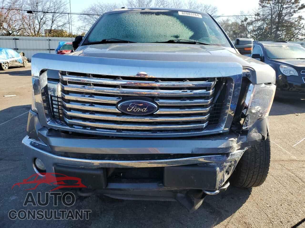 FORD F-150 2011 - 1FTFX1EF3BFD24892