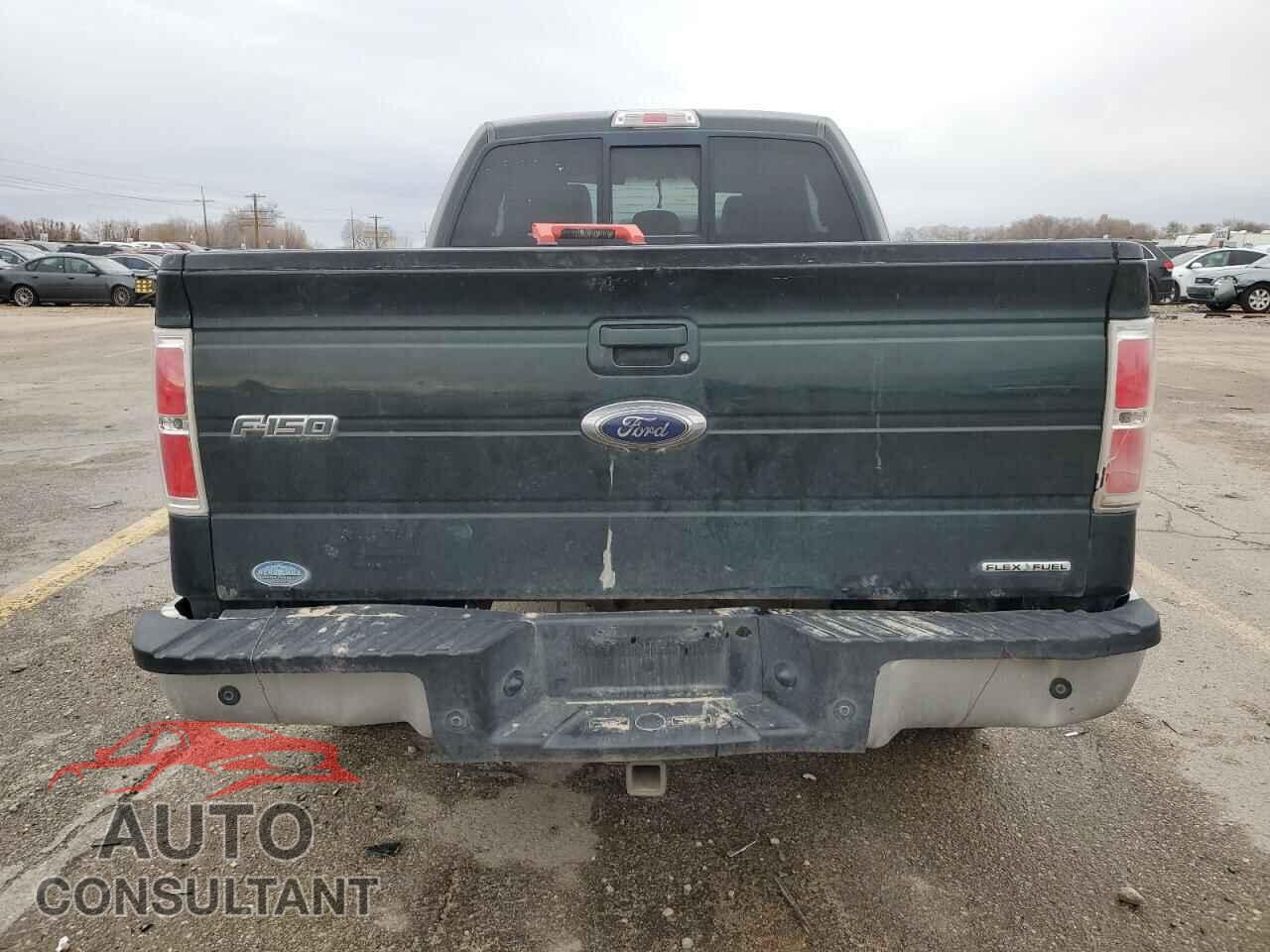 FORD F-150 2013 - 1FTFX1EF2DFA74404