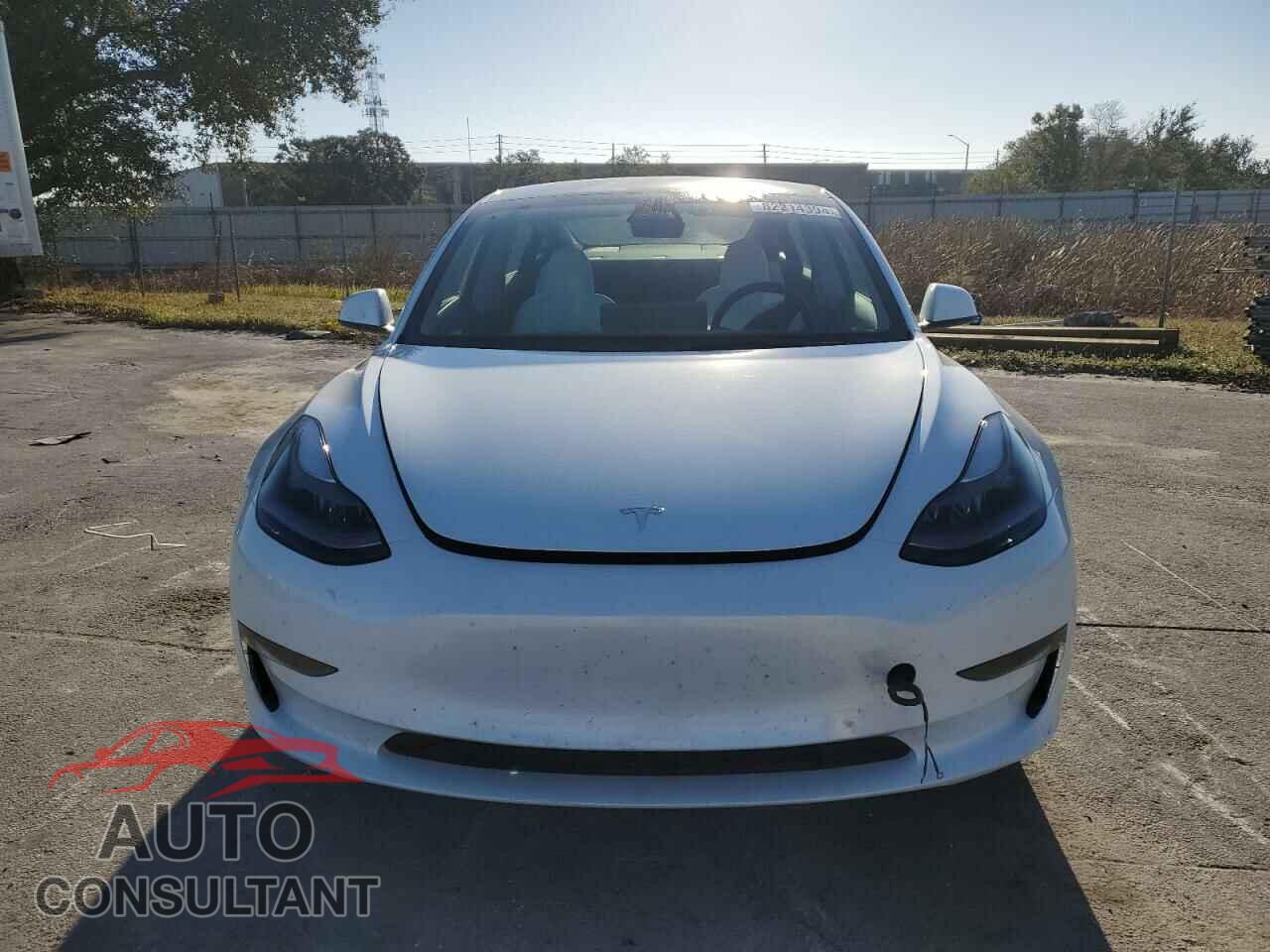 TESLA MODEL 3 2023 - 5YJ3E1EC3PF491506