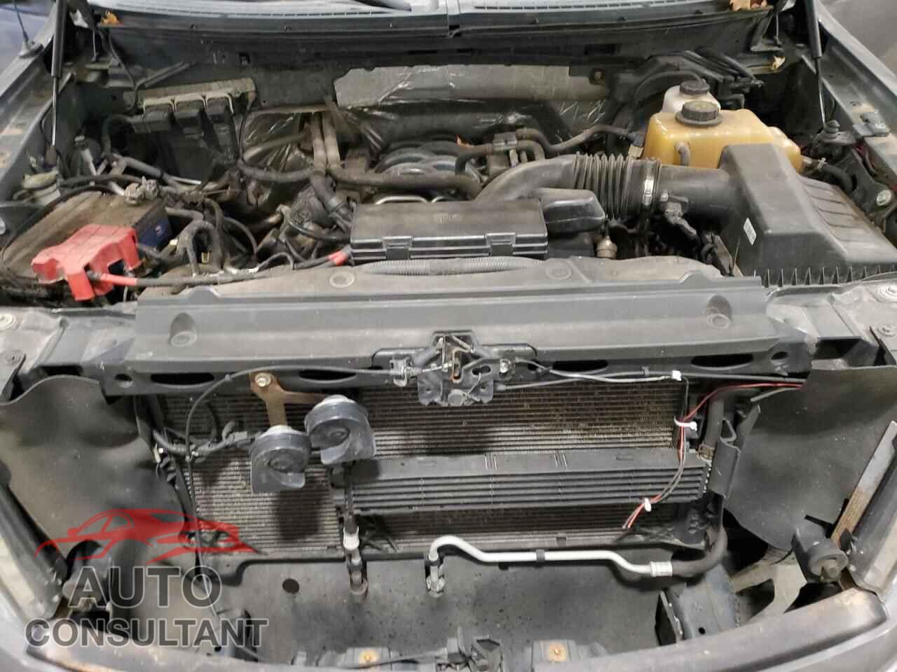 FORD F-150 2013 - 1FTFX1EF9DFD68768