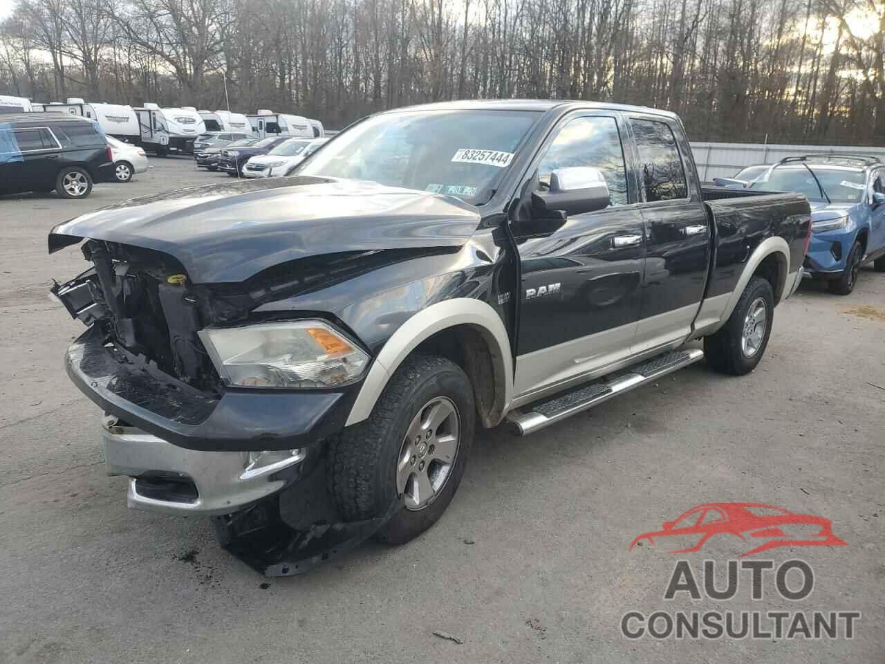 DODGE All Models 2010 - 1D7RV1GT8AS179012