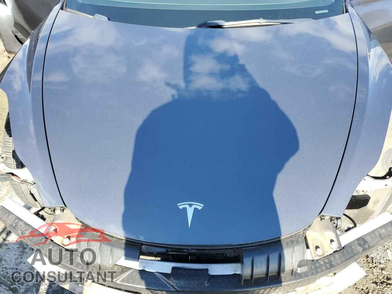 TESLA MODEL 3 2021 - 5YJ3E1EA7MF093788