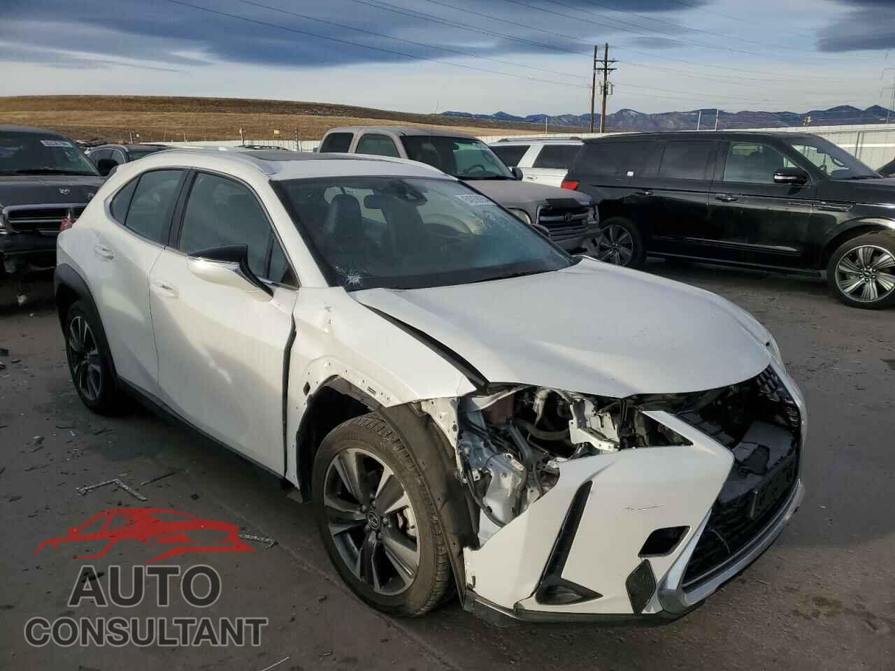 LEXUS UX 200 2019 - JTHY3JBH9K2018005