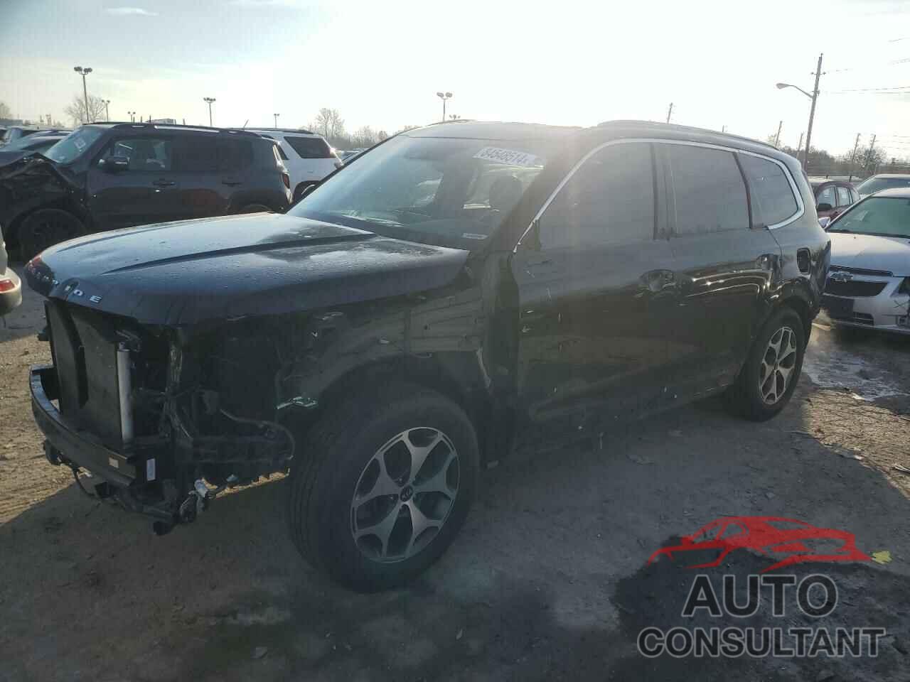 KIA TELLURIDE 2021 - 5XYP34HC9MG124215