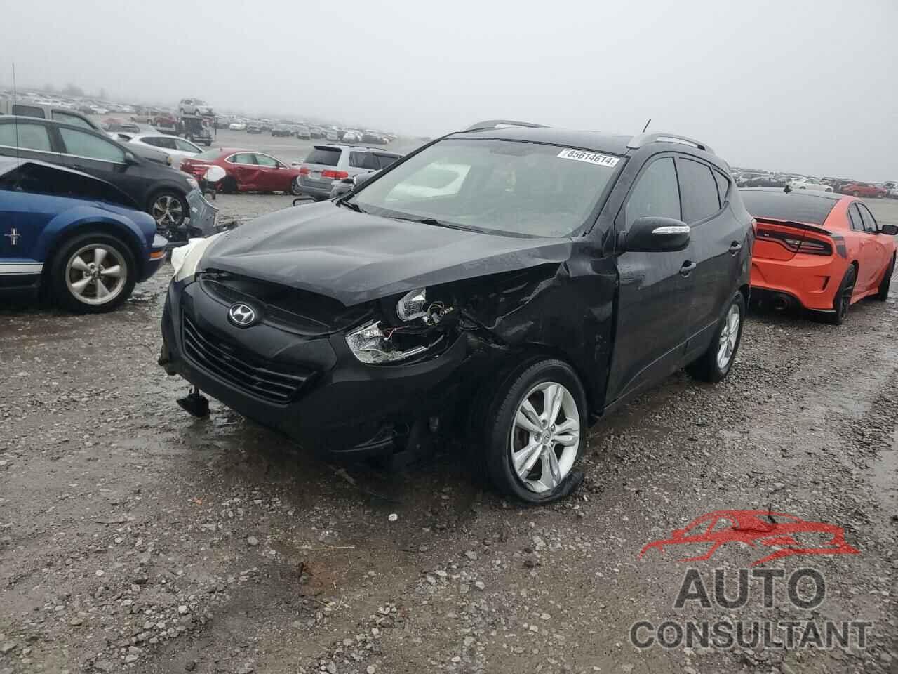 HYUNDAI TUCSON 2013 - KM8JUCAC8DU728856