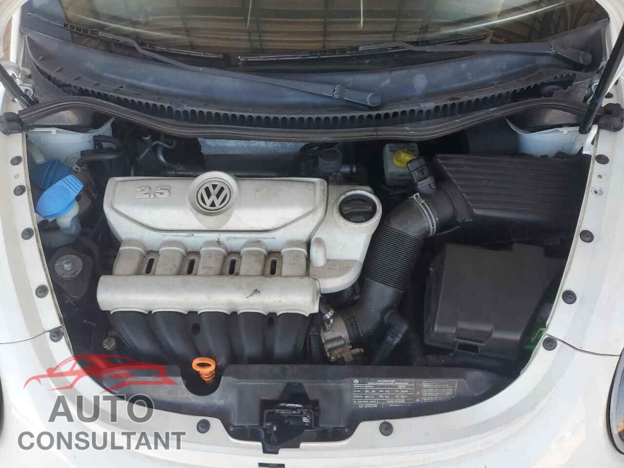 VOLKSWAGEN BEETLE 2009 - 3VWRW31C19M511580