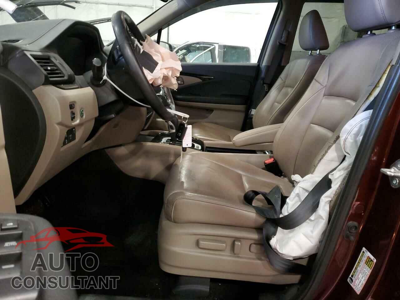 HONDA RIDGELINE 2019 - 5FPYK3F76KB012393