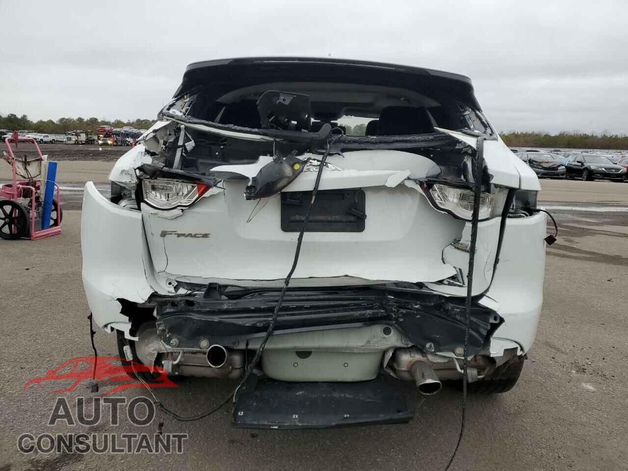JAGUAR F-PACE 2019 - SADCJ2FX5KA393599