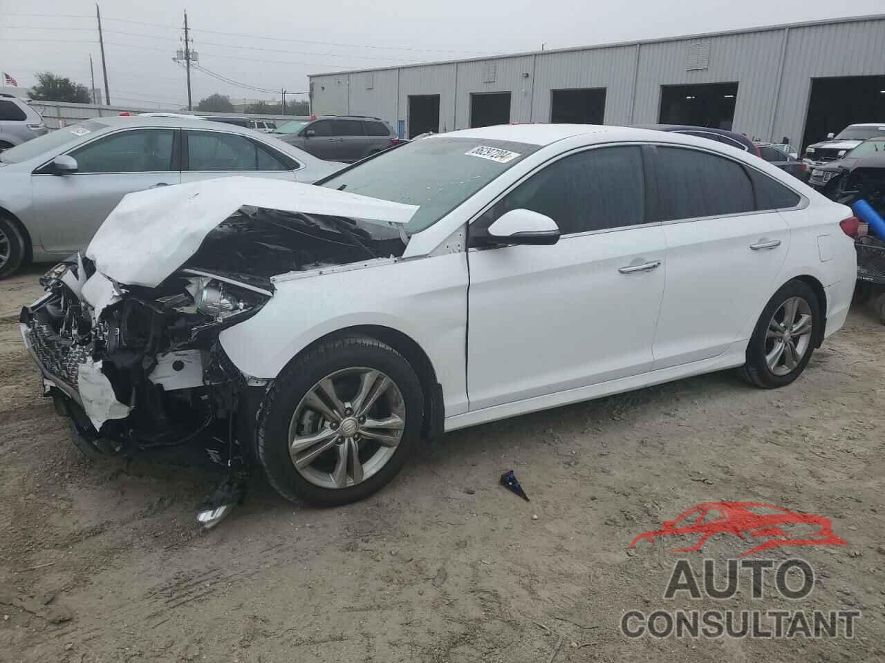 HYUNDAI SONATA 2019 - 5NPE34AF6KH746322