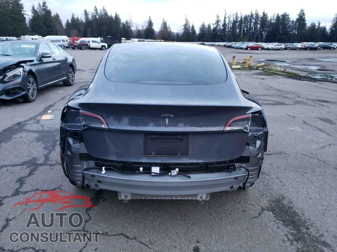 TESLA MODEL 3 2023 - 5YJ3E1EA1PF698734