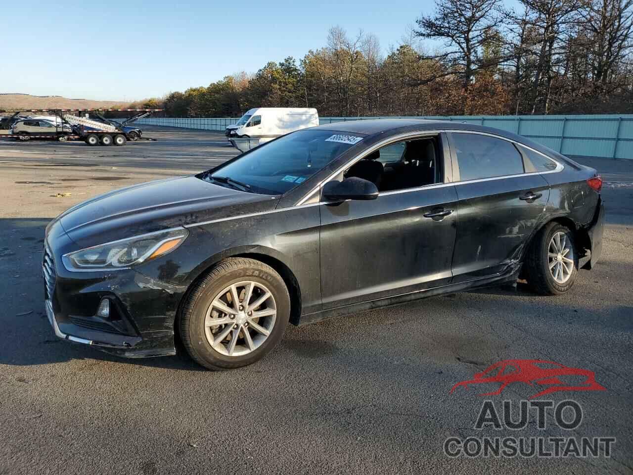 HYUNDAI SONATA 2019 - 5NPE24AF9KH749623