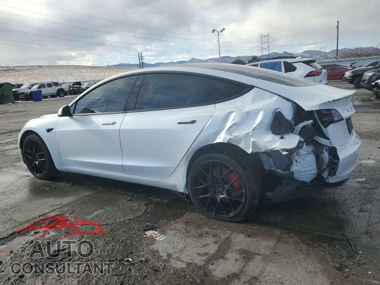 TESLA MODEL 3 2019 - 5YJ3E1EB7KF413794