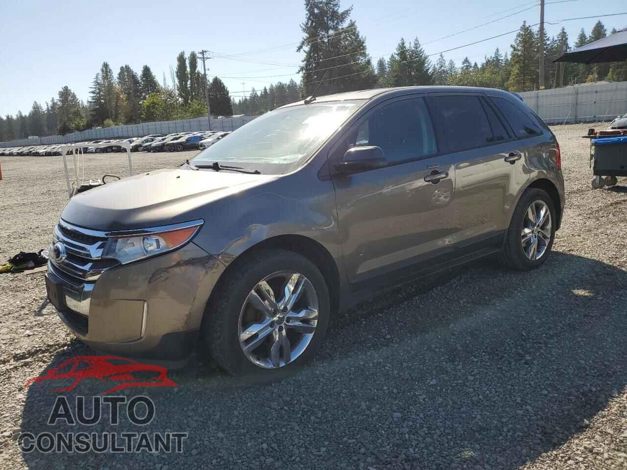 FORD EDGE 2013 - 2FMDK3J98DBB89409