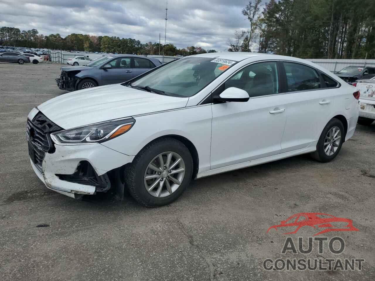 HYUNDAI SONATA 2018 - 5NPE24AF8JH671365