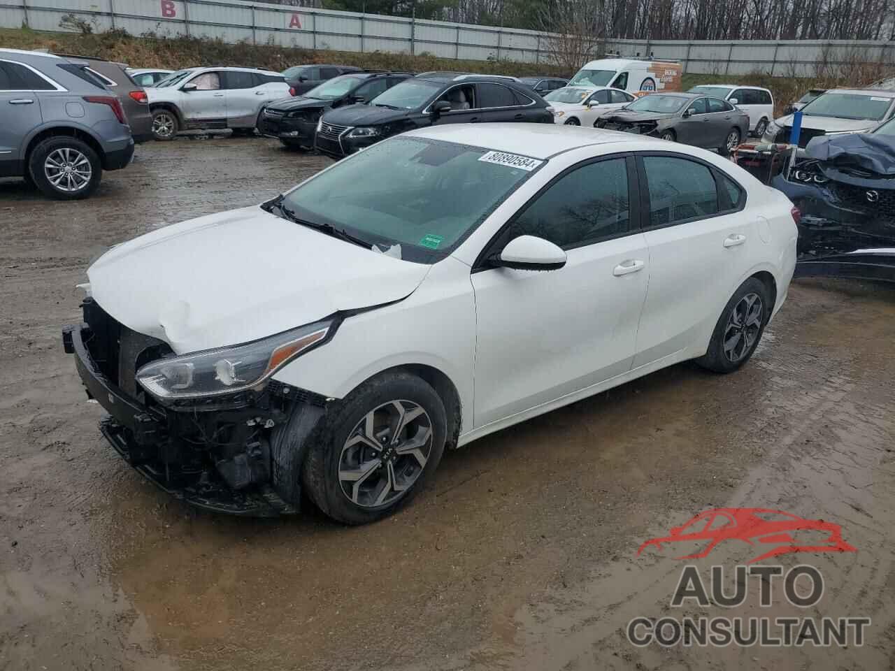 KIA FORTE 2019 - 3KPF24AD2KE094051