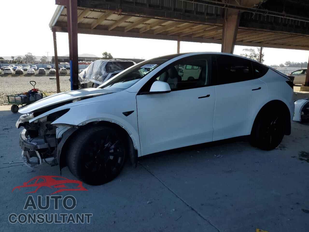 TESLA MODEL Y 2023 - 7SAYGDEE4PF791237