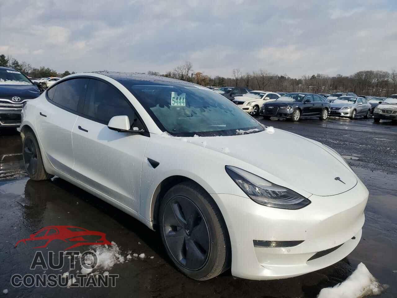 TESLA MODEL 3 2019 - 5YJ3E1EA8KF466897