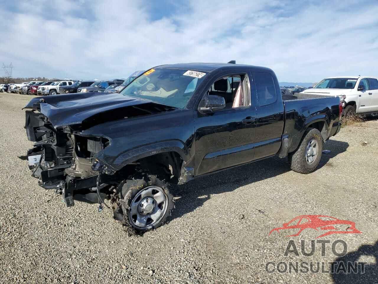 TOYOTA TACOMA 2023 - 3TYRX5GNXPT088407