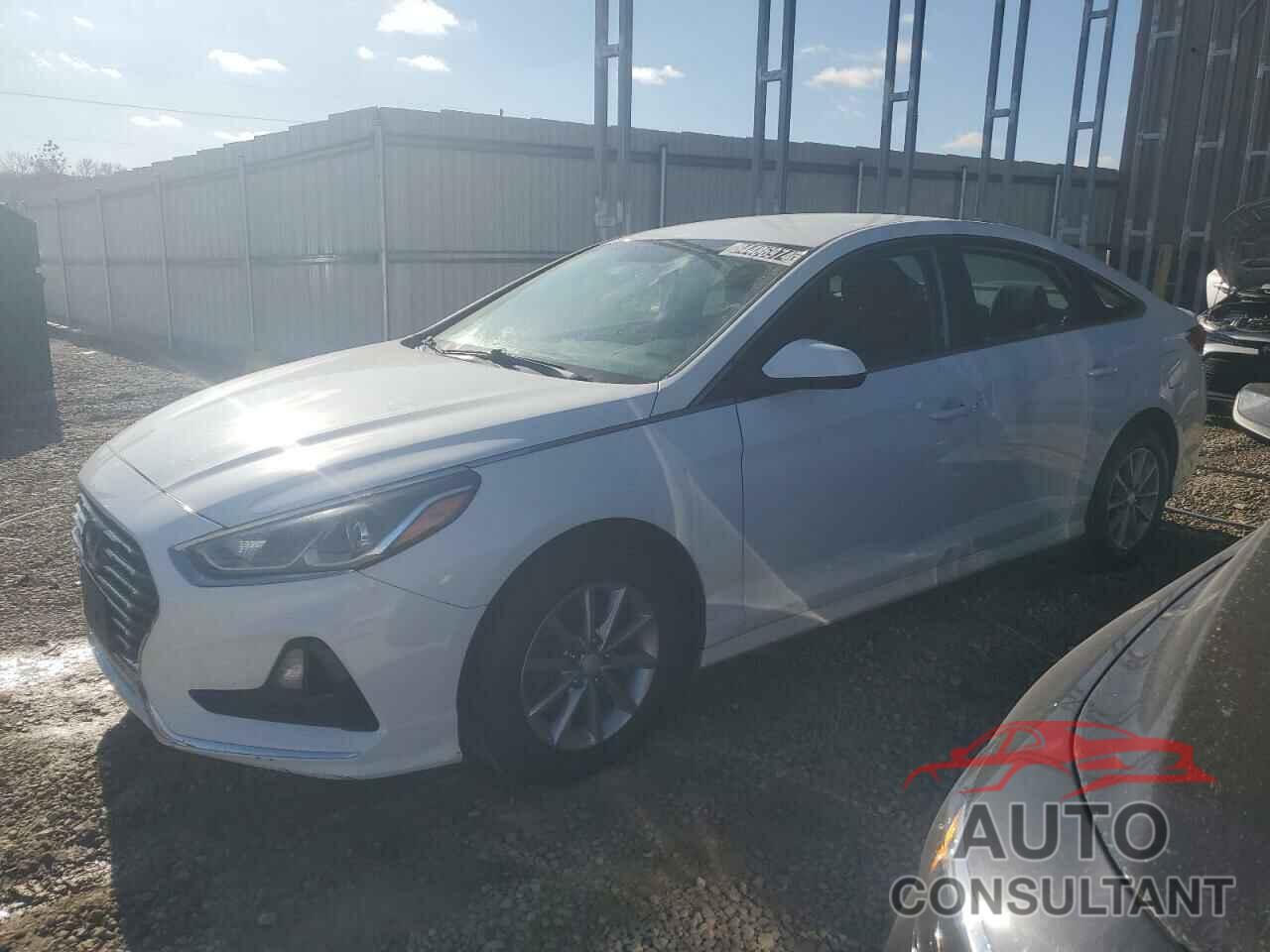 HYUNDAI SONATA 2019 - 5NPE24AF6KH735436