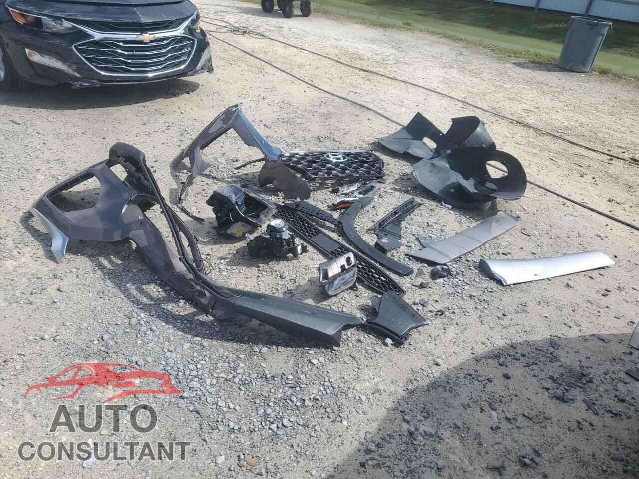 HYUNDAI SANTA FE 2020 - 5NMS33AD2LH257359