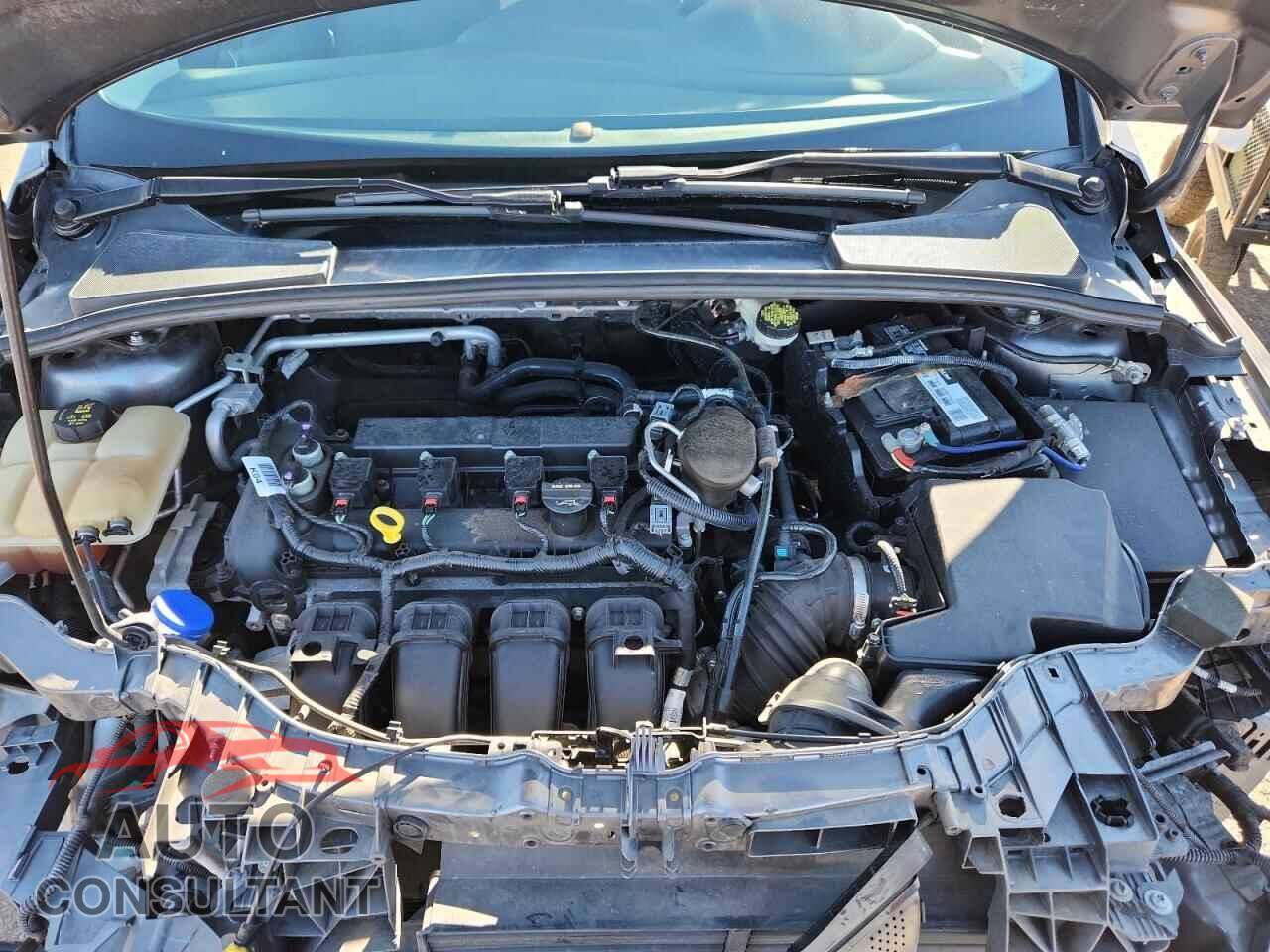 FORD FOCUS 2014 - 1FADP3K20EL323621